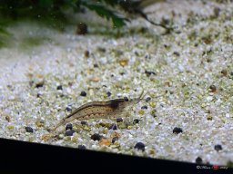 Tiergarten Schönbrunn am 23.03.2023